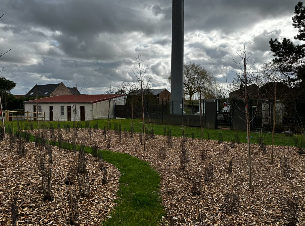 Réalisation Altoris — Entretien