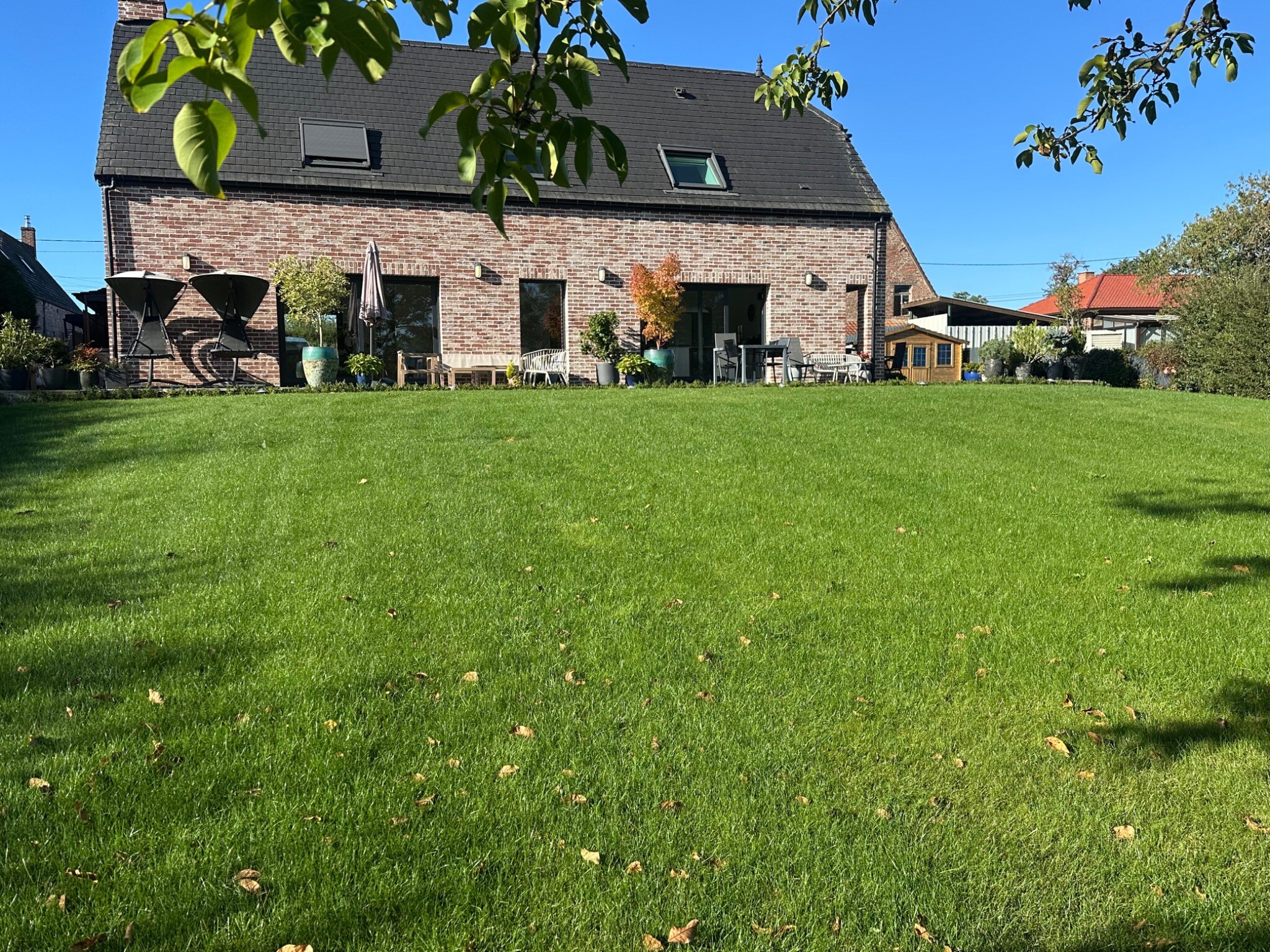 Après — pelouse dense et verdoyante